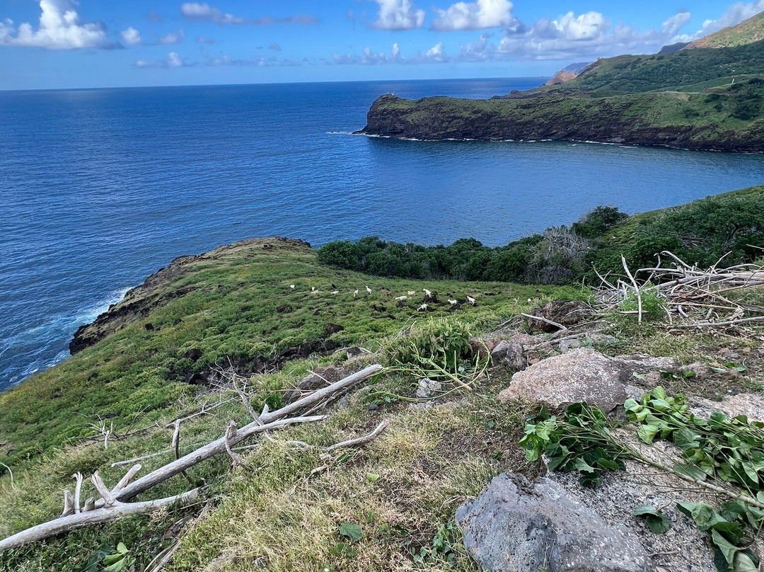 Kaoha Excursion-Atuona必去景点