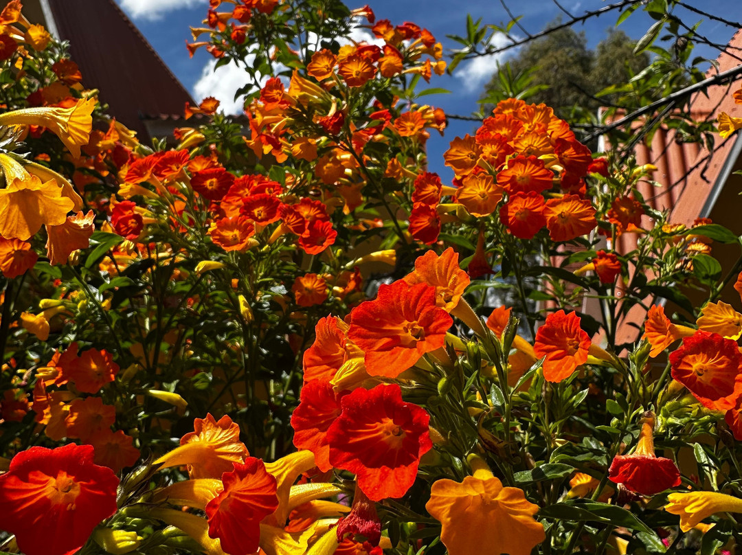 Amaru Valle Hotel主图