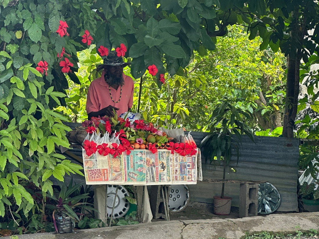 Yardie Tours-奥乔里奥斯必去景点