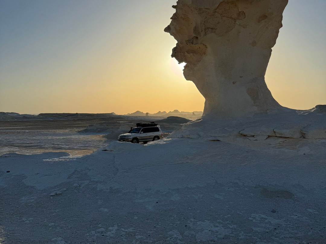 White Desert tours-Bawiti必去景点