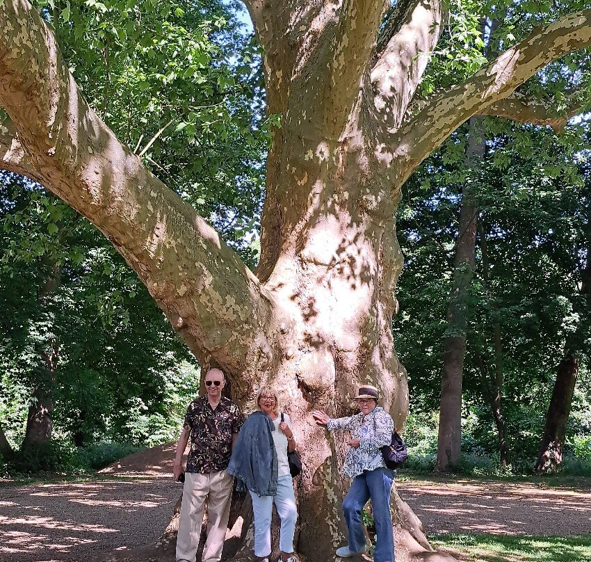 Schloss Paffendorf-Bergheim必去景点