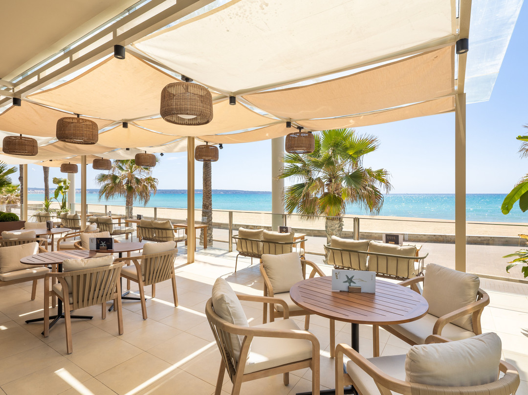 坎帕斯蒂利亚酒店住宿-Hotel Eden Palma Playa