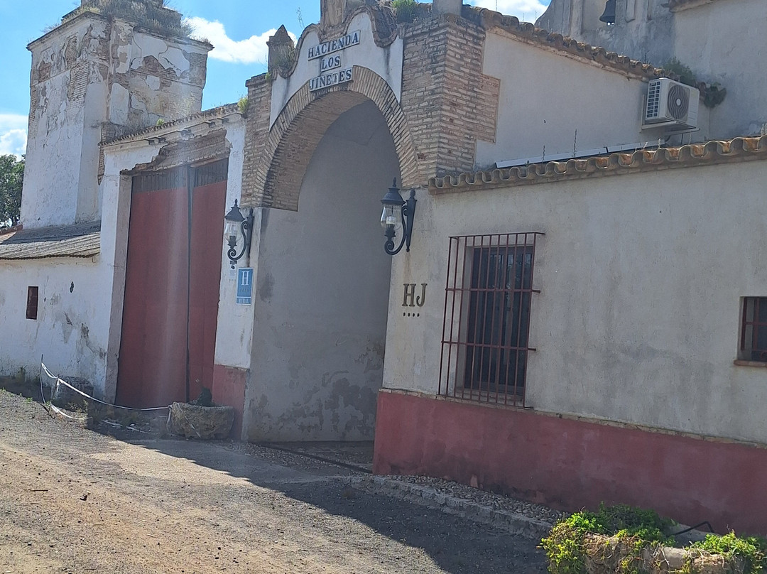 骑手庄园酒店主图