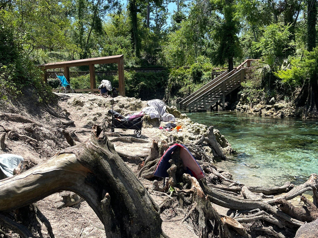 Madison Blue Springs State Park-Lee必去景点