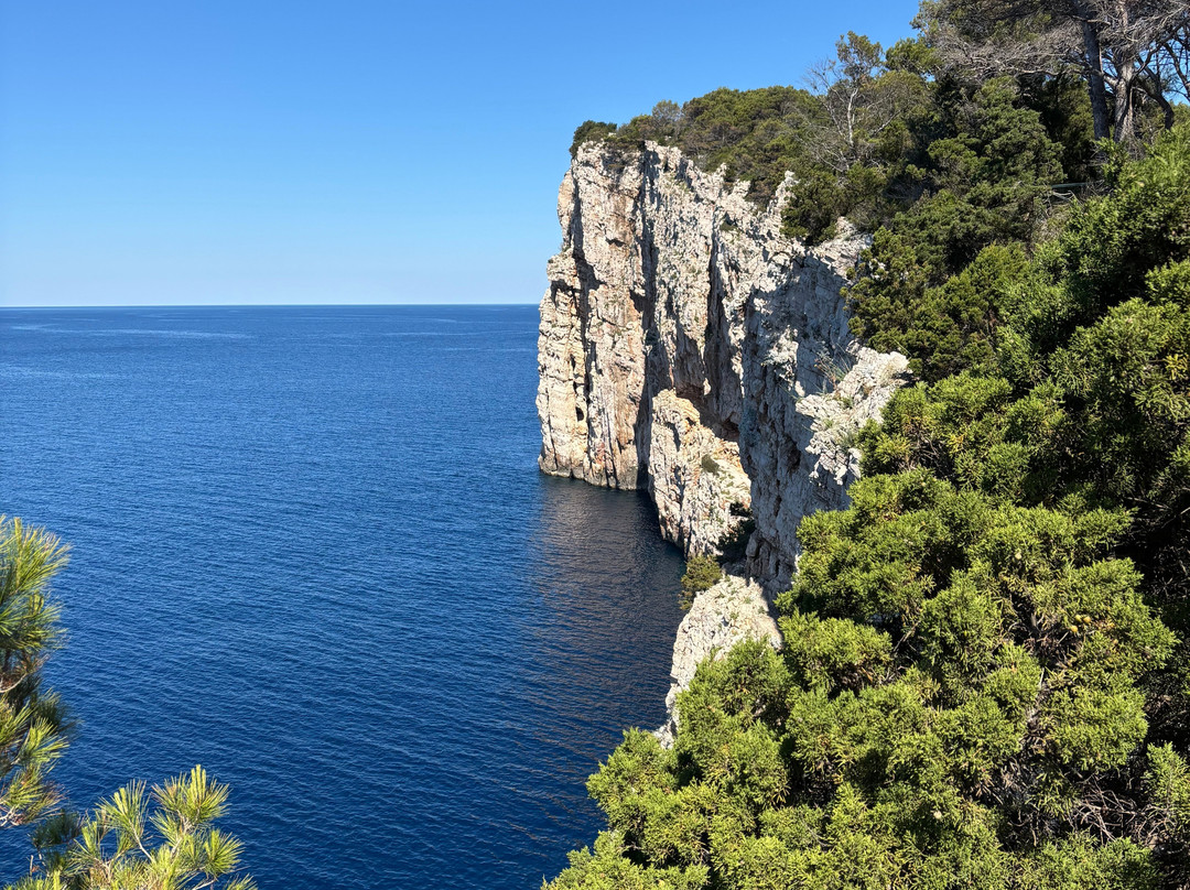 Pedal & Sea Adventures - Bike Tours-Black Point必去景点