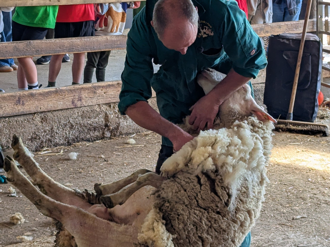 Boydells Dairy Farm-Wethersfield必去景点