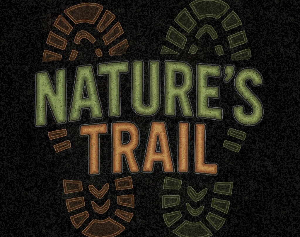 Nature's Trail Wildlife Expeditions-福德圣卡洛斯必去景点