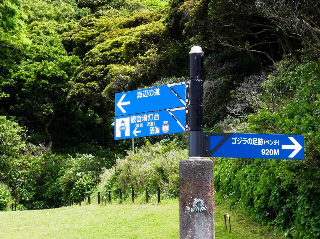 Kannonzaki Park景点图片