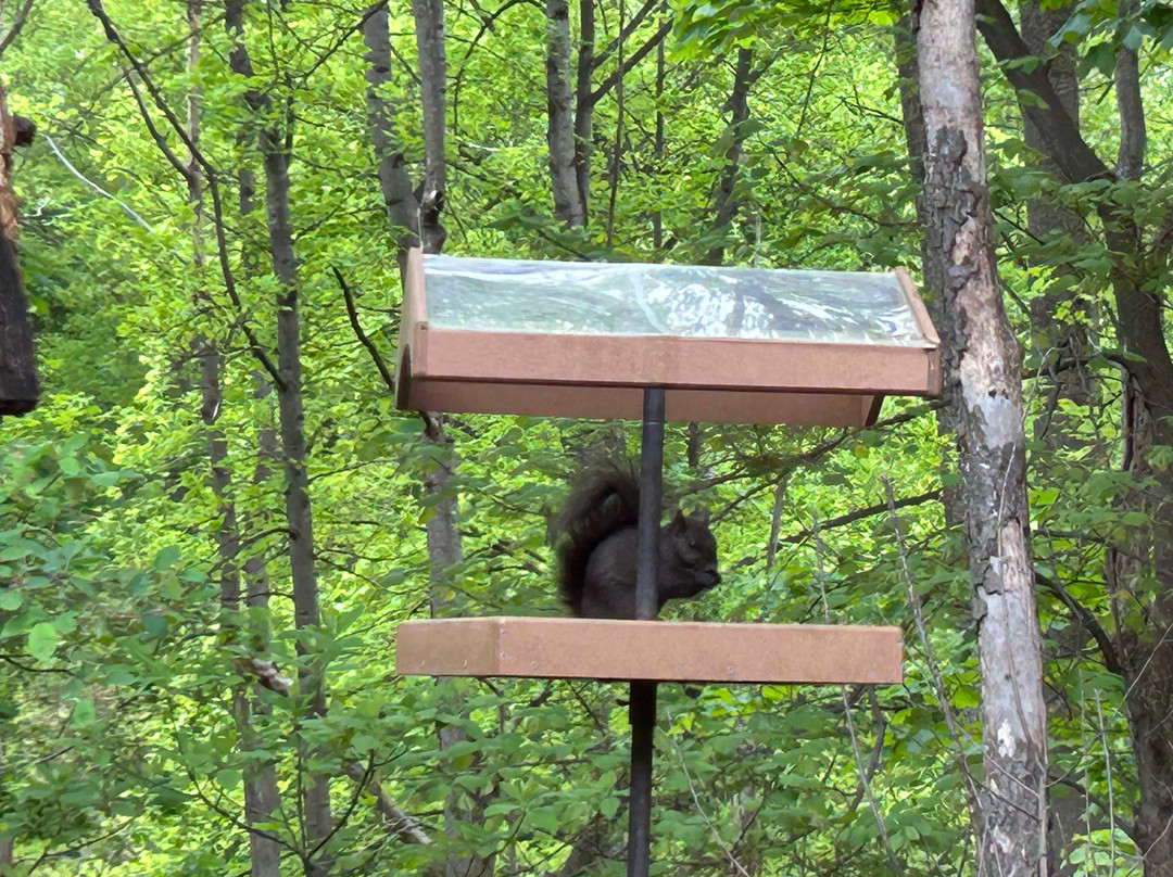 Fernwood Botanical Garden-Buchanan必去景点