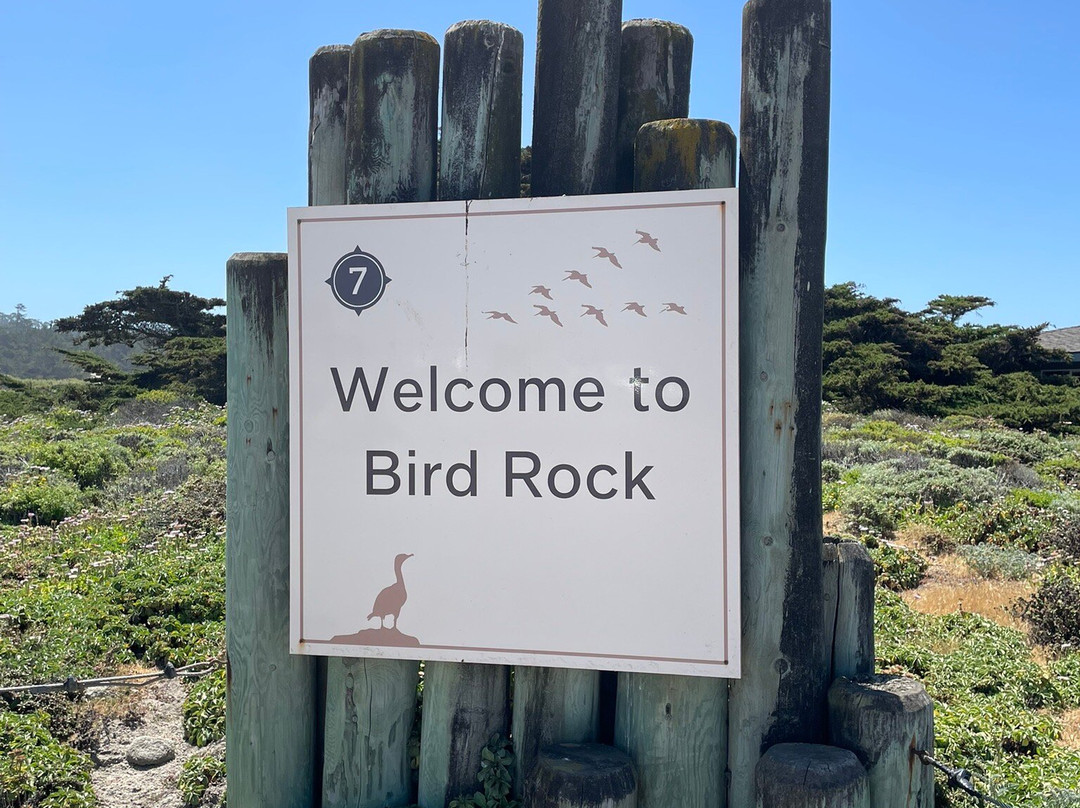 Bird Rock Vista Point-圆石滩必去景点