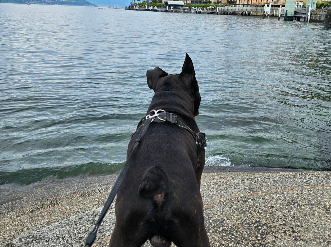 Lake Como-科莫必去景点