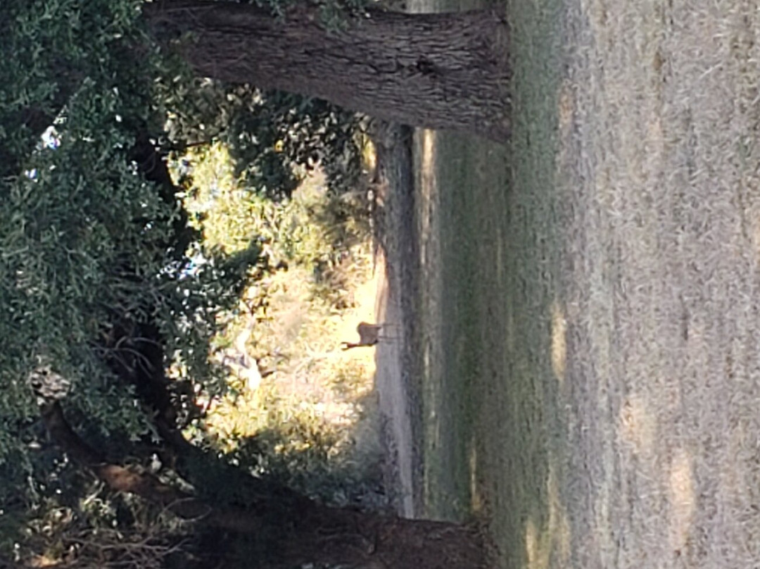 Riverway RV Park
