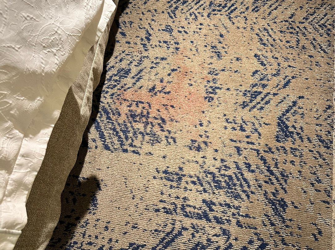 弗雷德里克斯堡霍姆伍德套房酒店主图