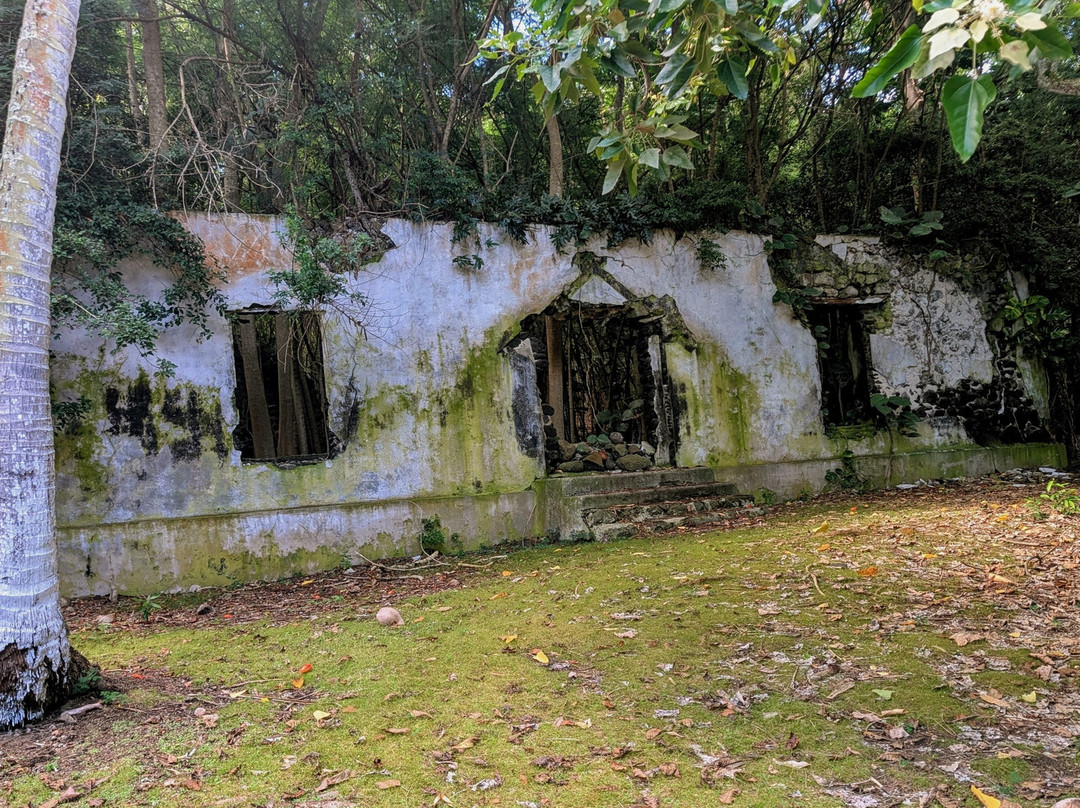 Halawa Falls-摩洛凯岛必去景点