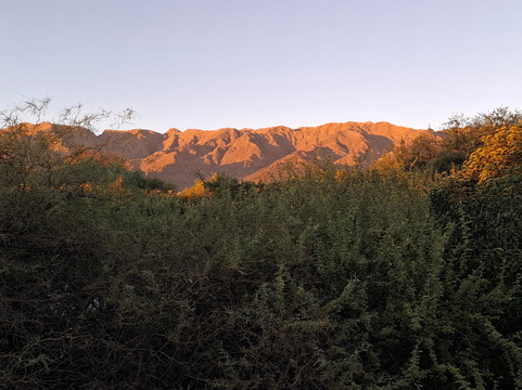 Rincon de los Troncos主图