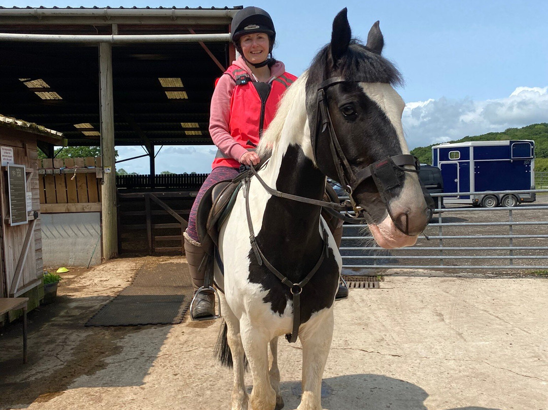 Friar's Hill Riding Stables-Sinnington必去景点