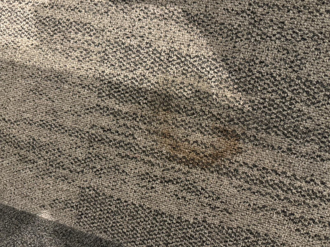 普罗莫特尔酒店主图