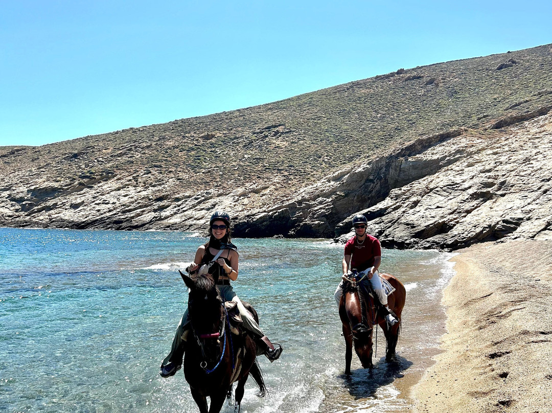 Mykonos Horseland-米科诺斯必去景点