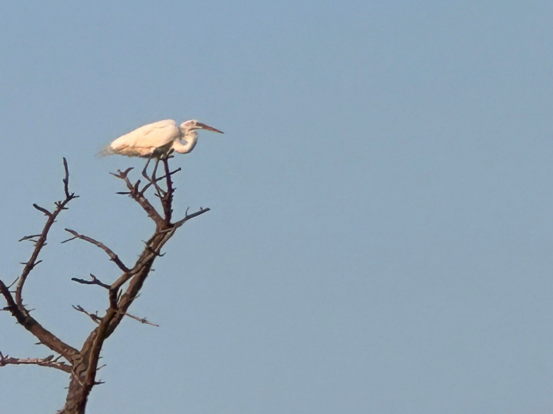 Sand Dollar Cruises-Dewey Beach必去景点
