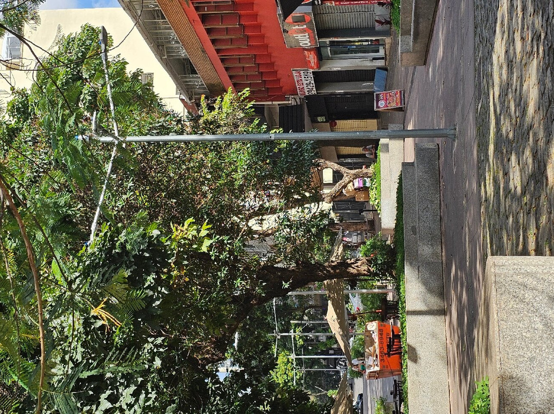 Praca Da Savassi-贝洛哈里桑塔必去景点