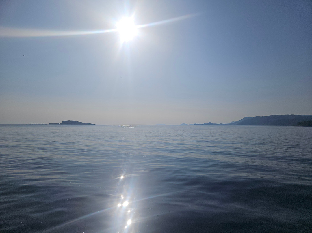 Epidaurum Diving & Water-Sports Center-察夫塔特必去景点