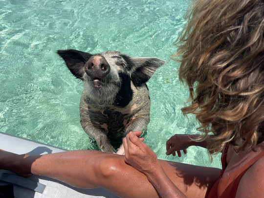 Ocean Adventure Cat-George Town必去景点