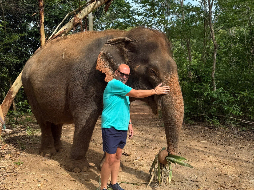 Pattaya Elephant Sanctuary-Bang Sare必去景点