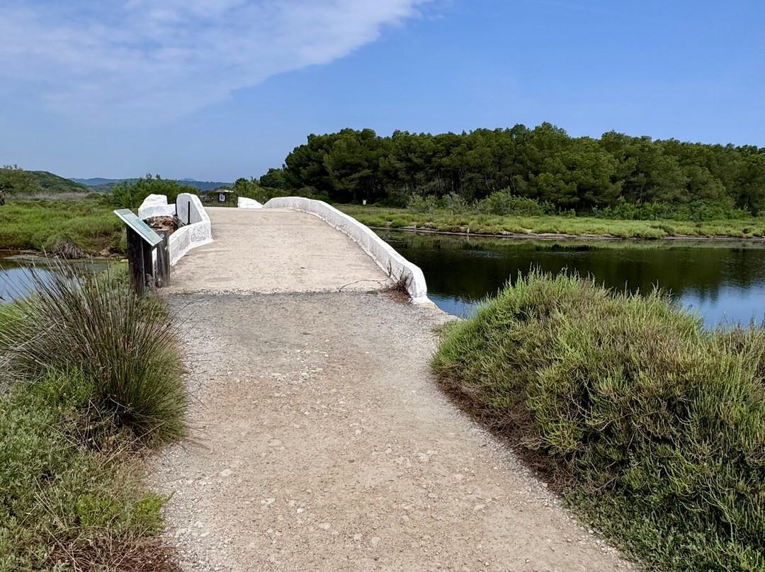 Nature Parc of S'Albufera des Grau-米诺卡必去景点