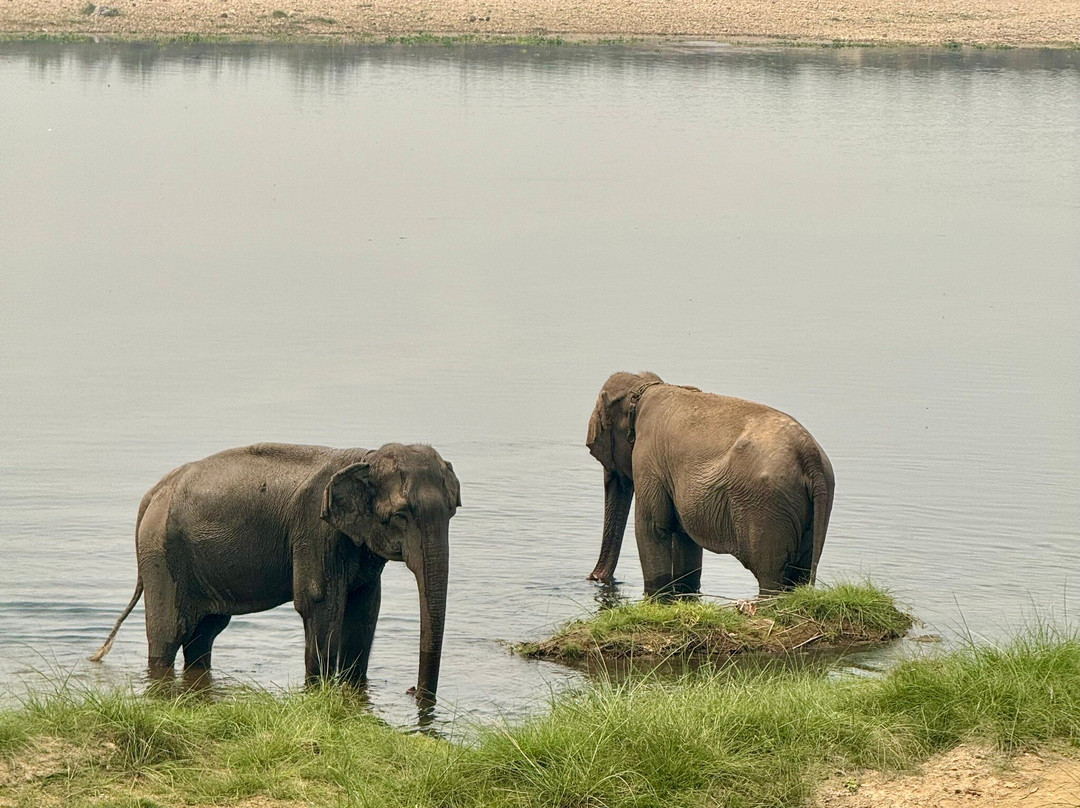 Mowgli's Eco Adventure-苏拉哈必去景点