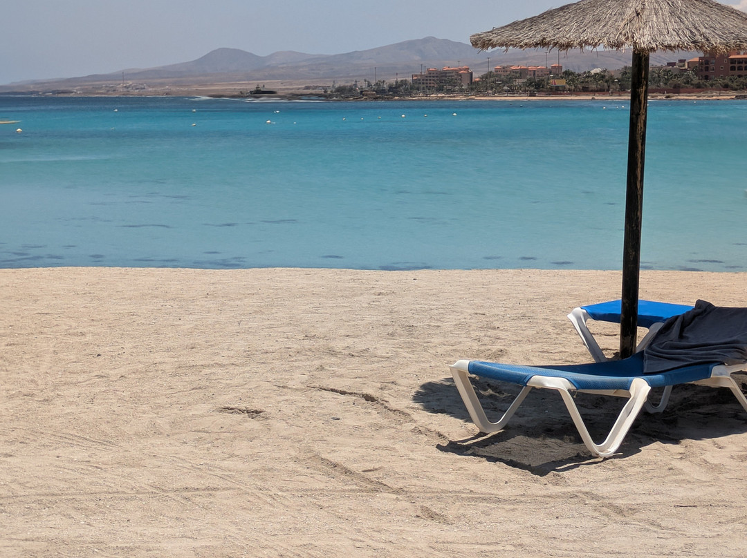 Playa Del Castillo景点图片