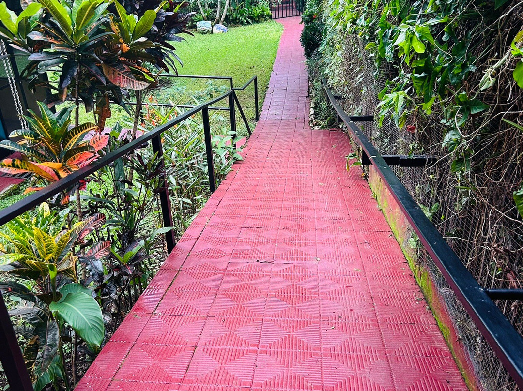 La Terraza Guest House B&B主图