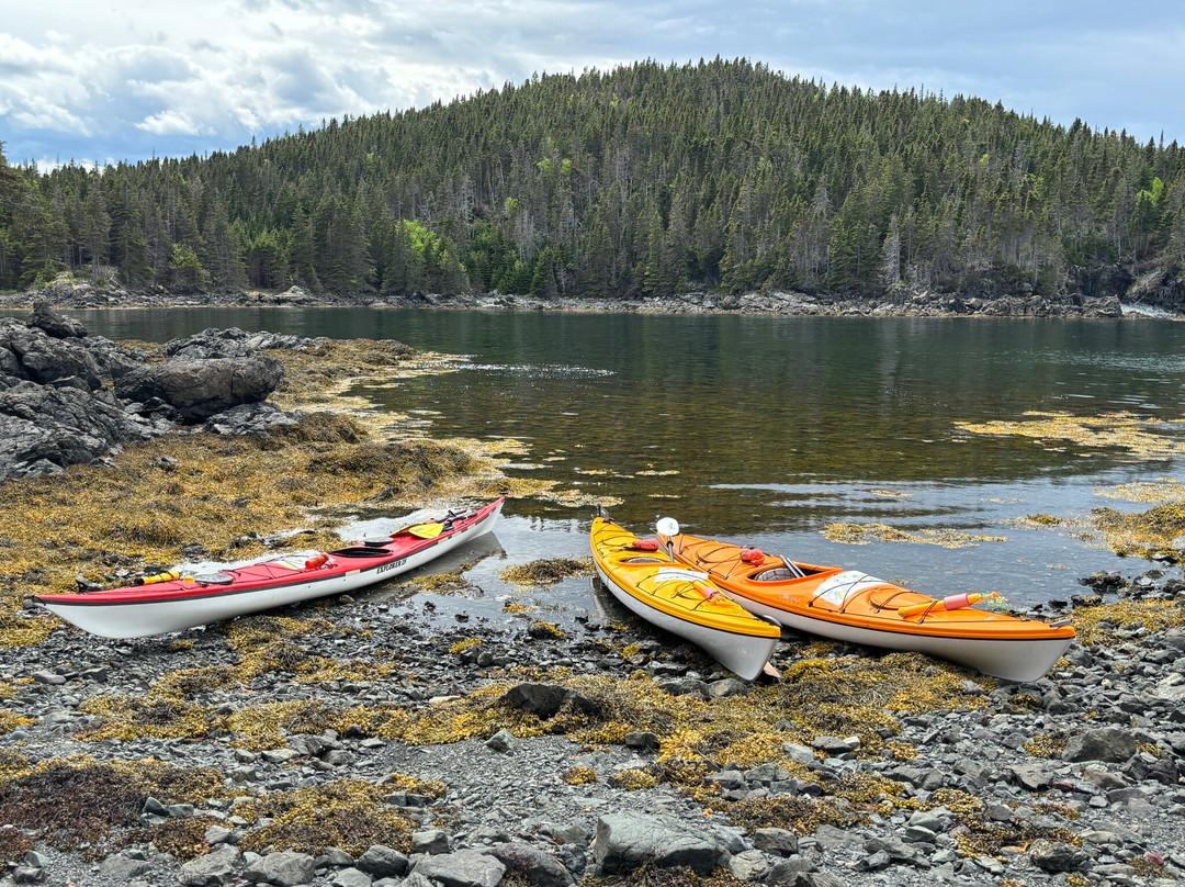 Adventures Newfoundland-Fortune Harbour必去景点