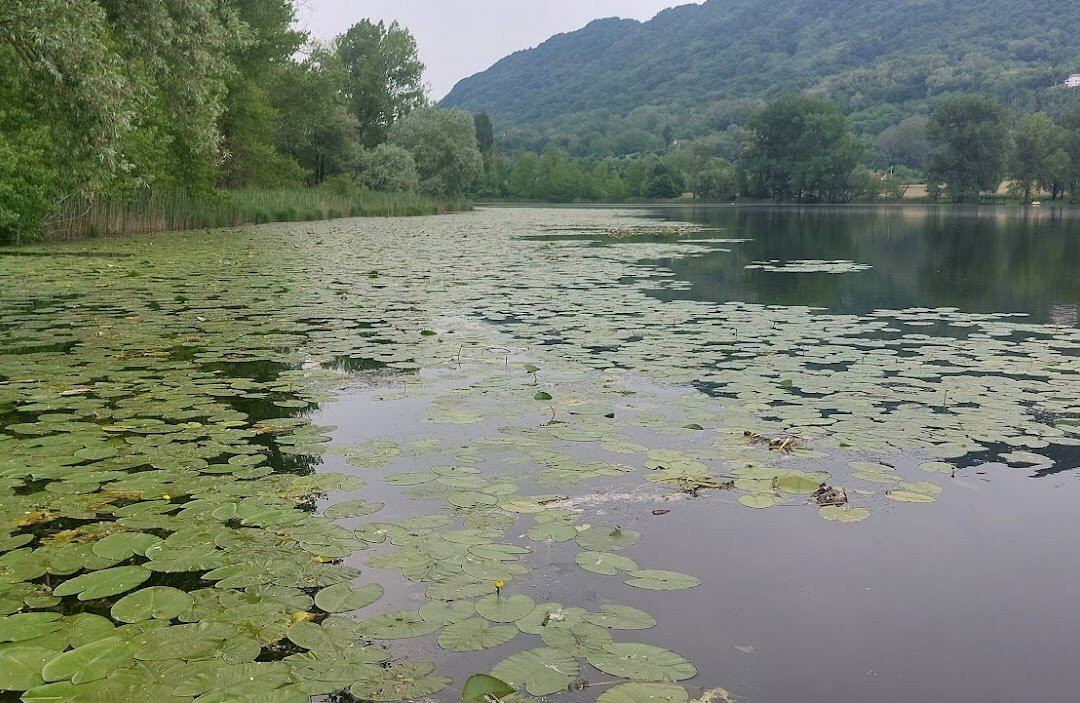Giro Laghi Di Revine e Via Dei Murales-Revine Lago必去景点