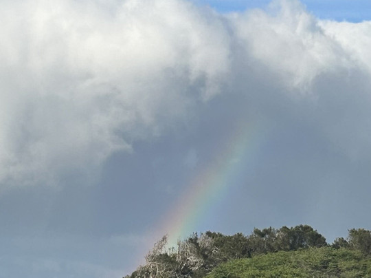 Local Maui Tours-芭雅必去景点