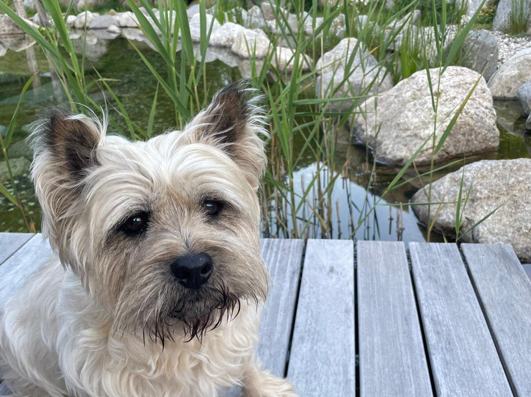 FONTIS Luxury Spa Lodge主图