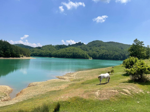 Tiffany Tour Albania-地拉那必去景点