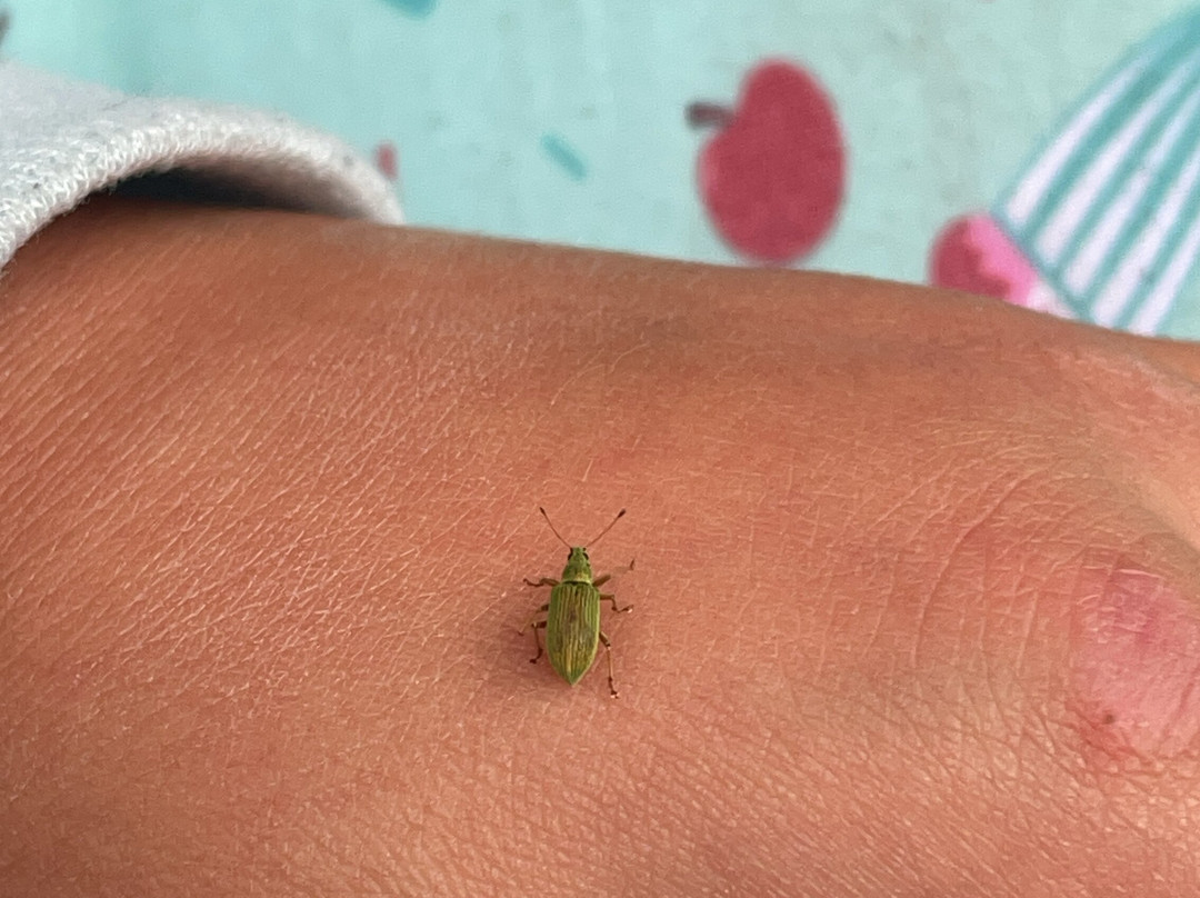 Emily Provincial Park-Kawartha Lakes必去景点