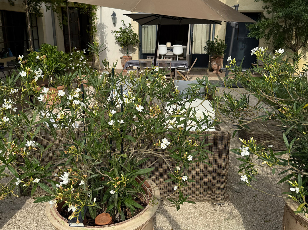 Camarina-Lodging