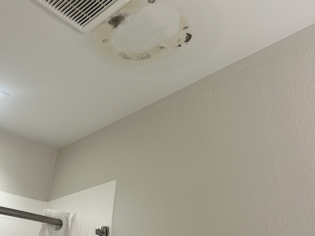 Best Western Plus Elizabethtown Inn & Suites主图