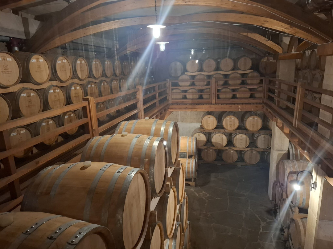 Distilleria Marzadro-Nogaredo必去景点