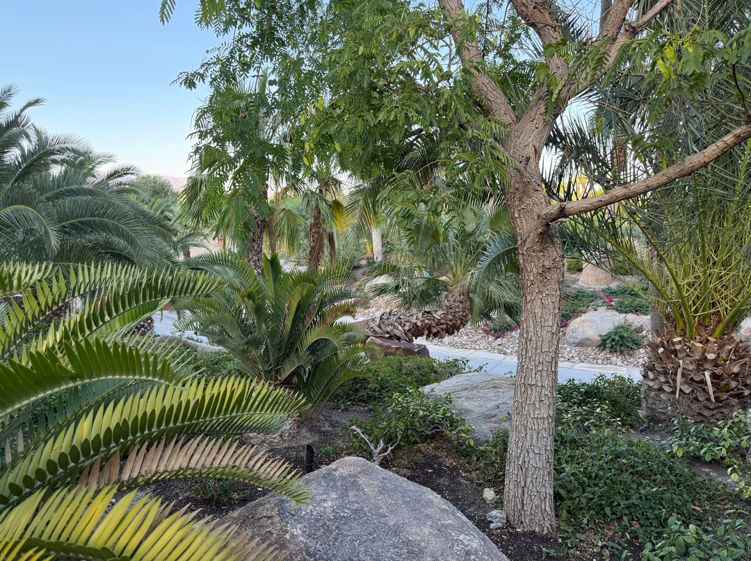 Sensei Porcupine Creek主图