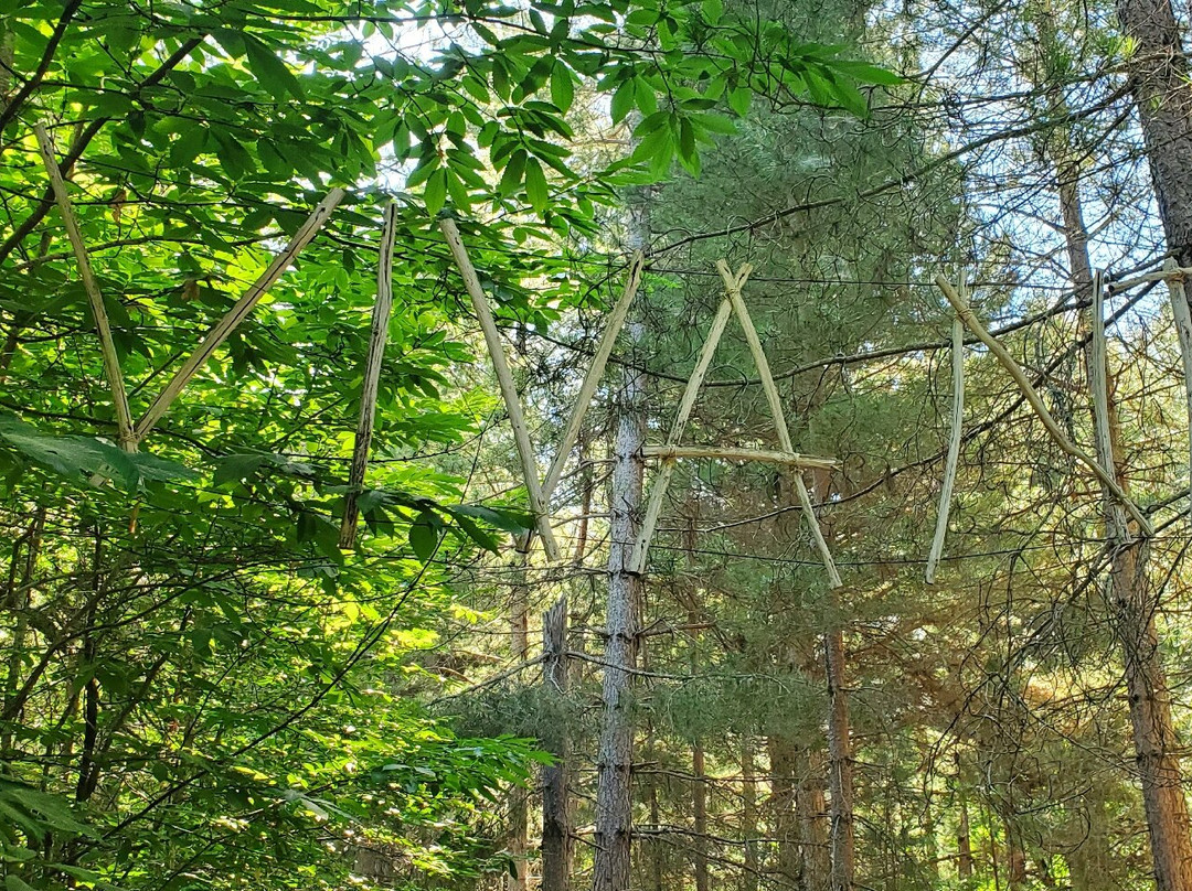 Foret d'Aïtone-科西嘉必去景点