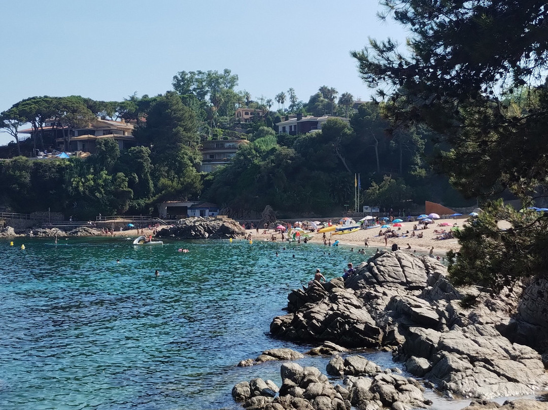 Cala de Sant Francesc-布拉内斯必去景点