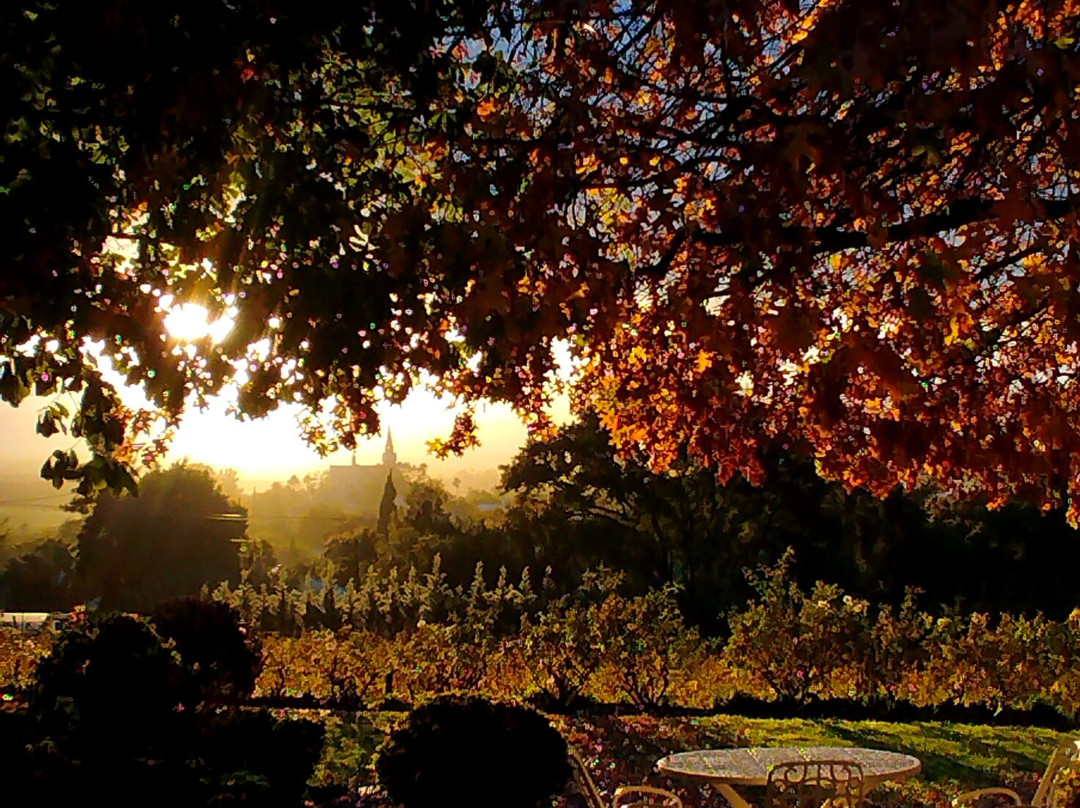 Kloovenburg Guesthouse主图