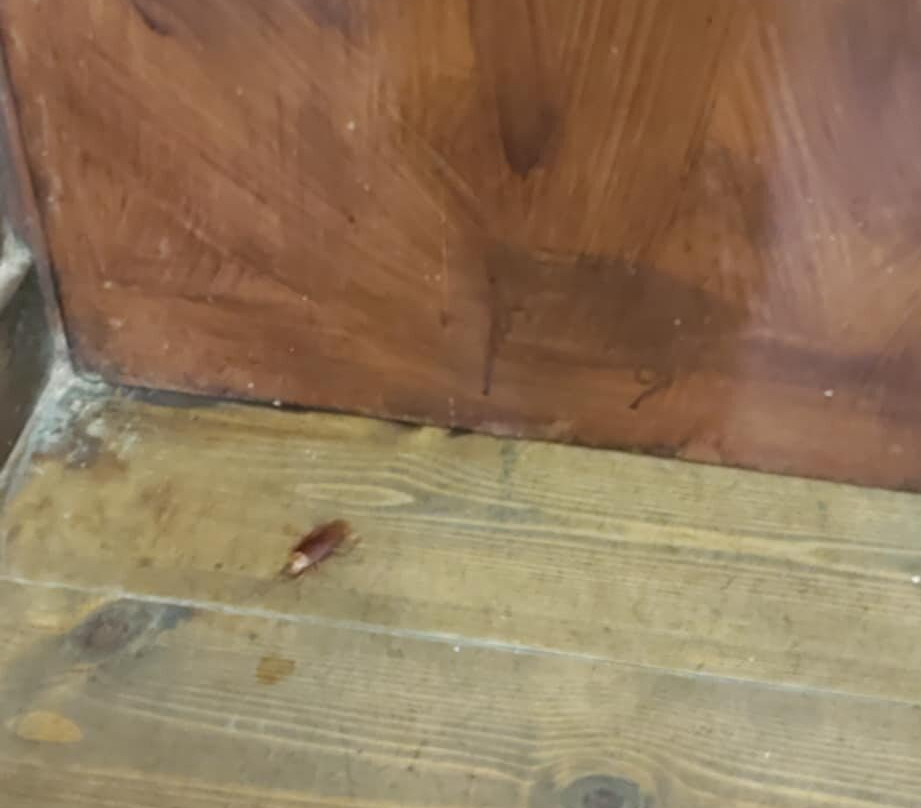 Romantzo Hotel主图