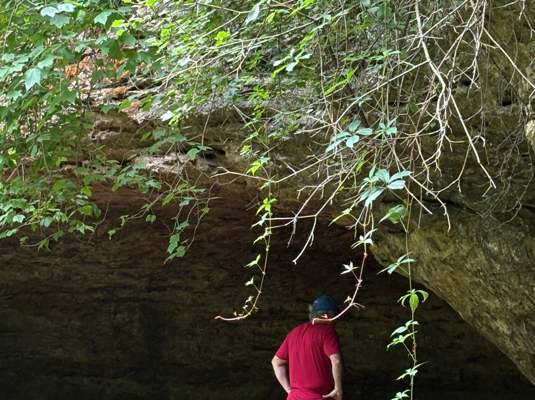 Natural Bridge State Park-Leland必去景点