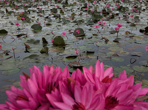 Neo Travel Maart - Taxi Service in Cochin Kerala | Kerala Tour Packages-柯钦必去景点