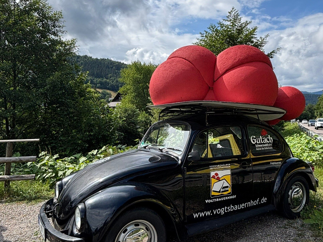 Schwarzwälder Freilichtmuseum Vogtsbauernhof-Gutach im Schwarzwald必去景点