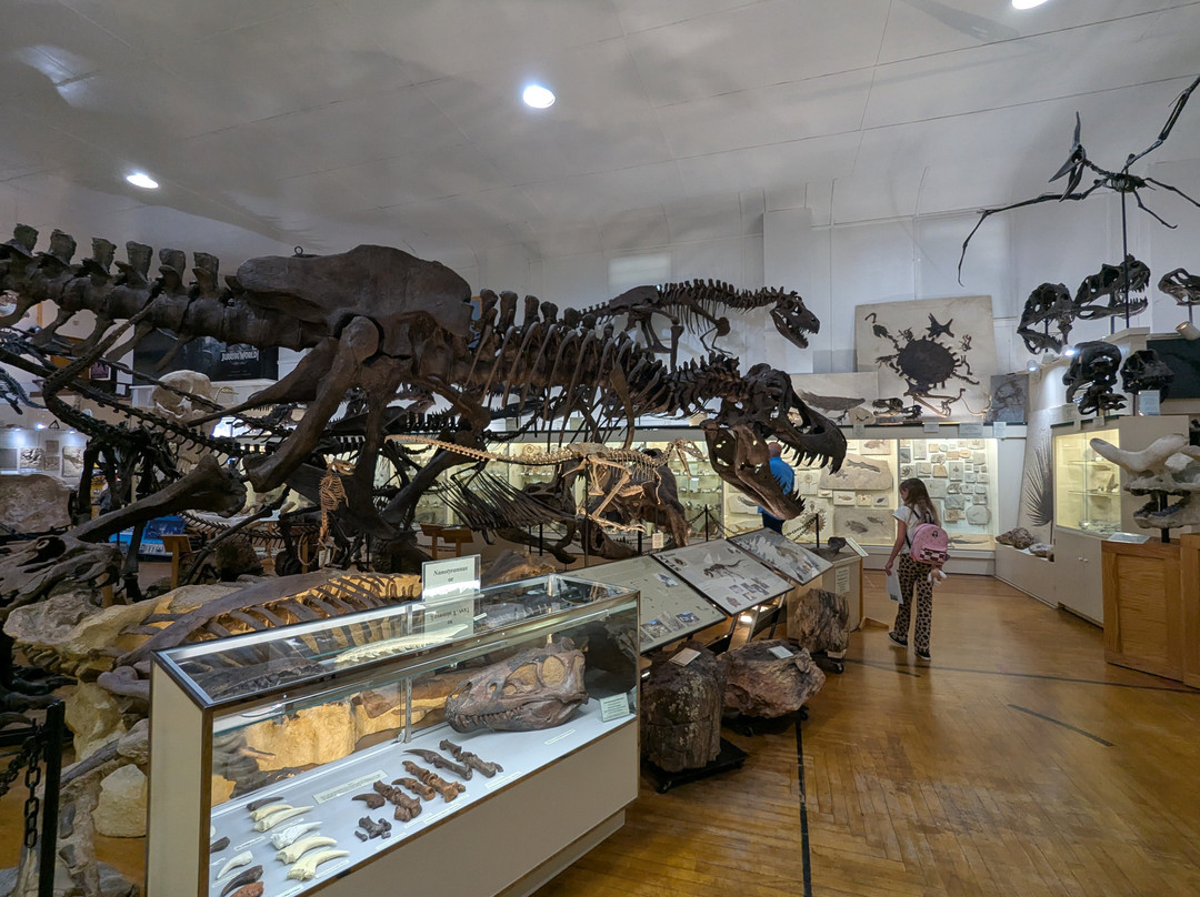 The Museum @ Black Hills Institute-希尔城必去景点