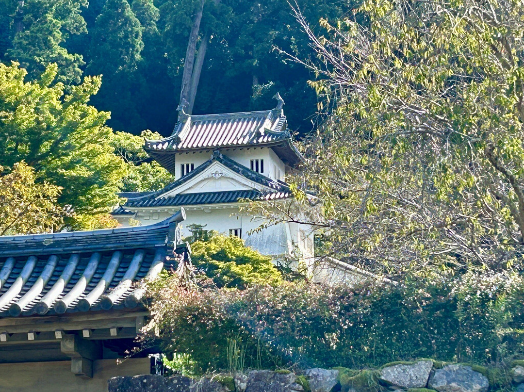 The Izushi Castle Ruins-丰冈市必去景点